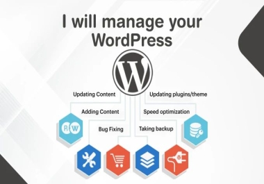 I will customize,  update and edit wordpress website fast