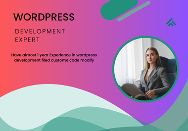 Professional WordPress Development,  Customization & Optimization Services