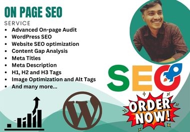 I will do Audit and Optimize On Page SEO for WordPress