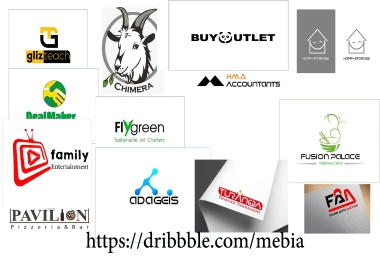 We will design a fantastic logo for you with amazing options.