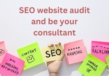 I will do a SEO website audit and be your consultant