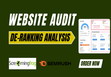 Full Website Audit & De-Ranking Analysis white hat method