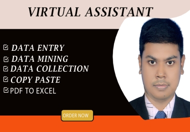 I will be your virtual assistant for data entry,  data collection,  copy paste,  data conversion