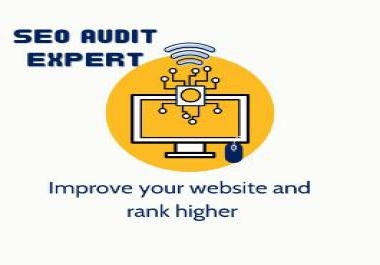 I will provide advanced website audit.